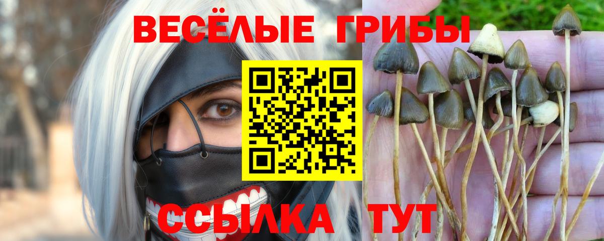 Ленинск-Кузнецкий  Псилоцибиновые грибы прущие грибы  Псилоцибиновые грибы GOLDEN TEACHER  Вход с VPN 